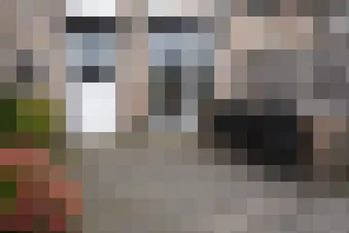 Noordstraat 34 b Biervliet thumbnail 35