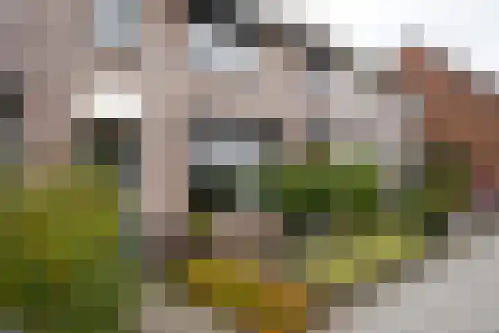Noordstraat 34 b Biervliet thumbnail 36