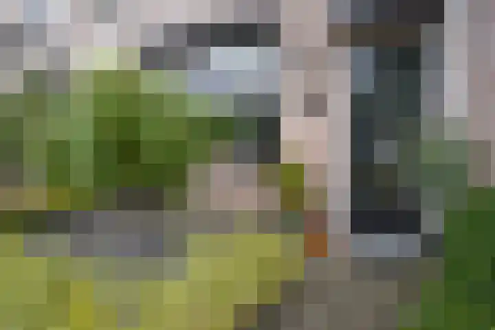 Noordstraat 34 b Biervliet thumbnail 37