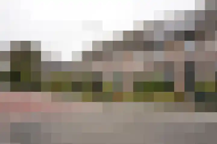 Noordstraat 34 b Biervliet thumbnail 38