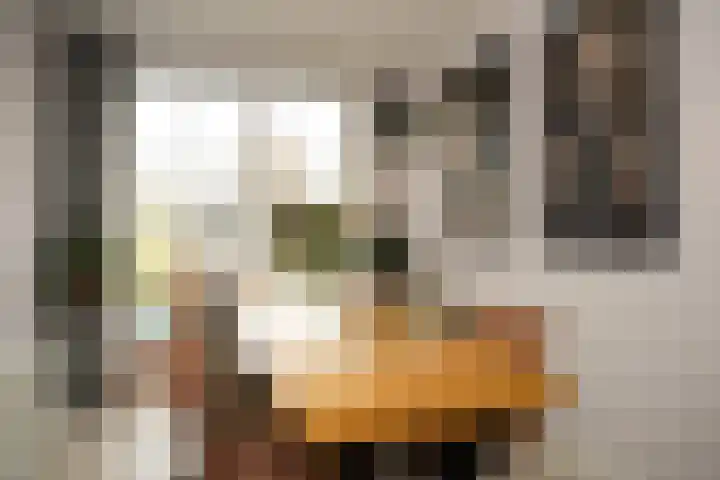 Noordstraat 34 b Biervliet thumbnail 9