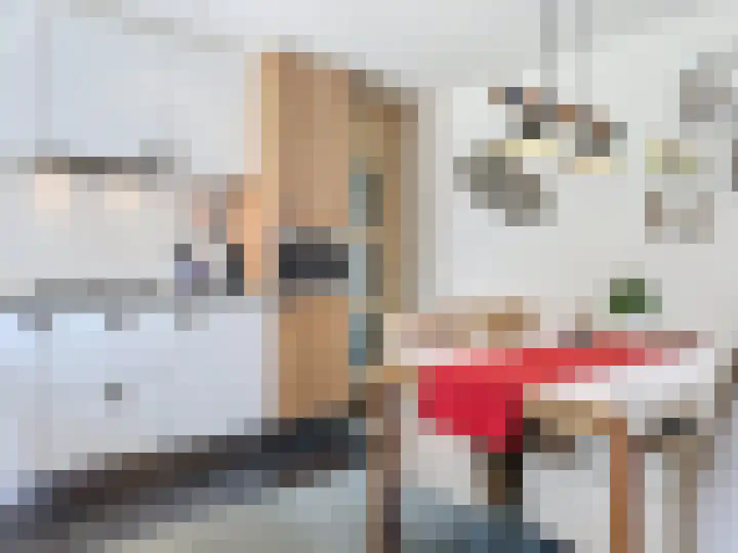 Noordstraat 34 Retranchement thumbnail 12