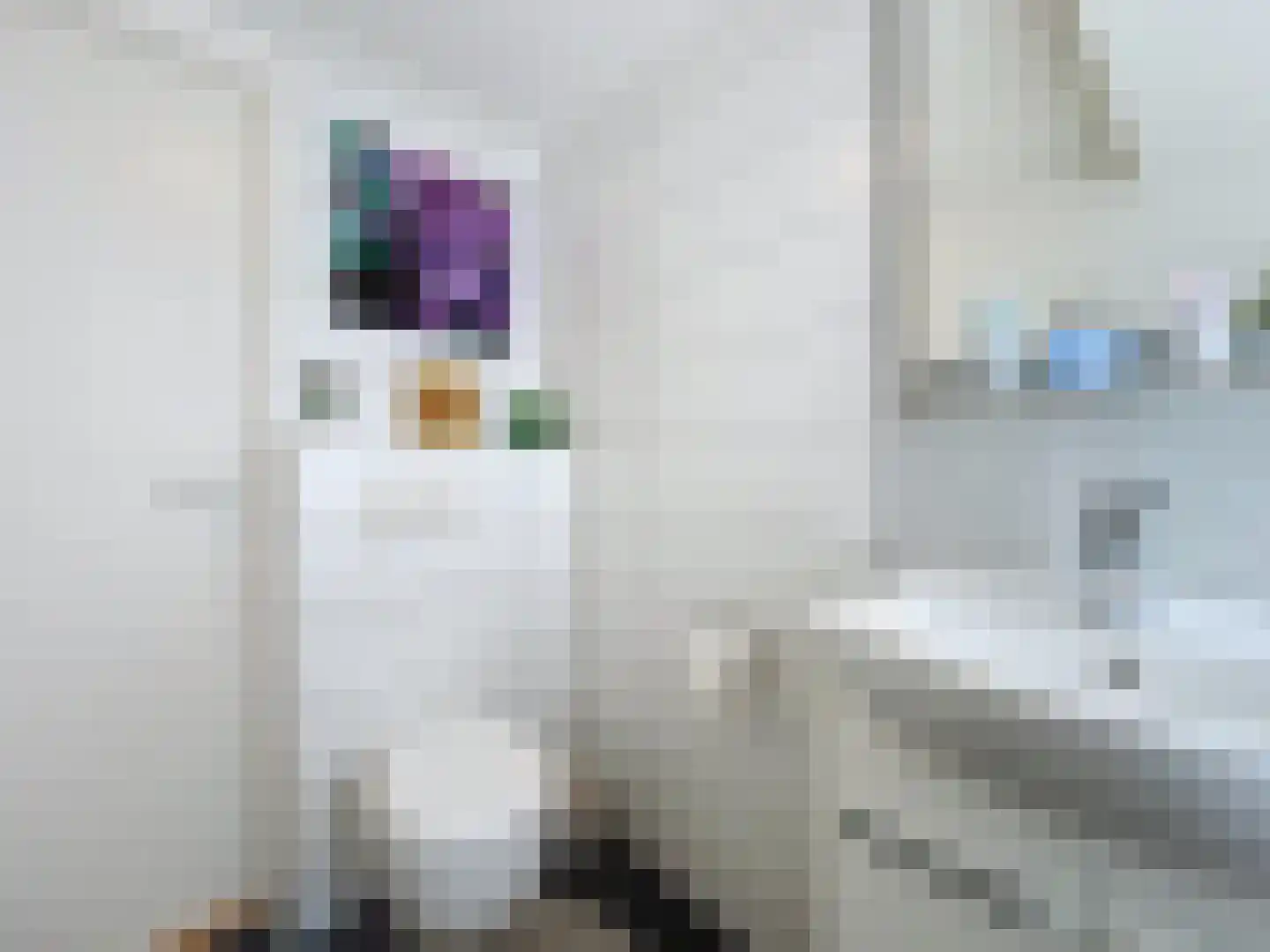 Noordstraat 34 Retranchement thumbnail 23