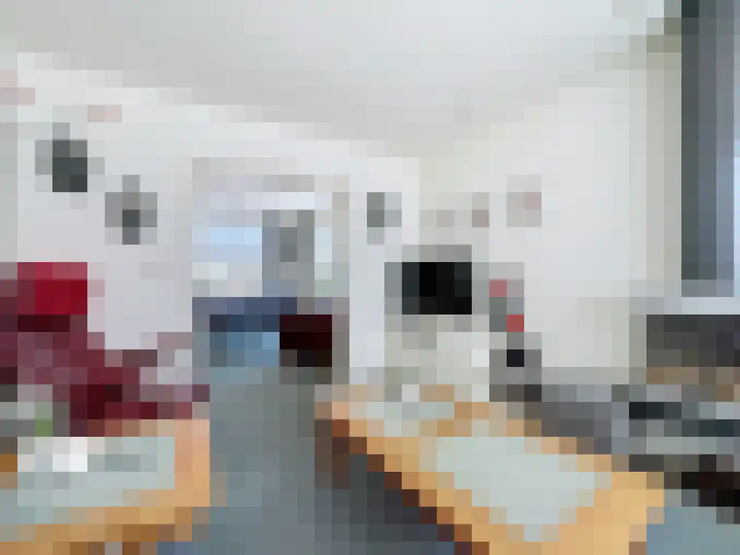 Noordstraat 34 Retranchement thumbnail 8