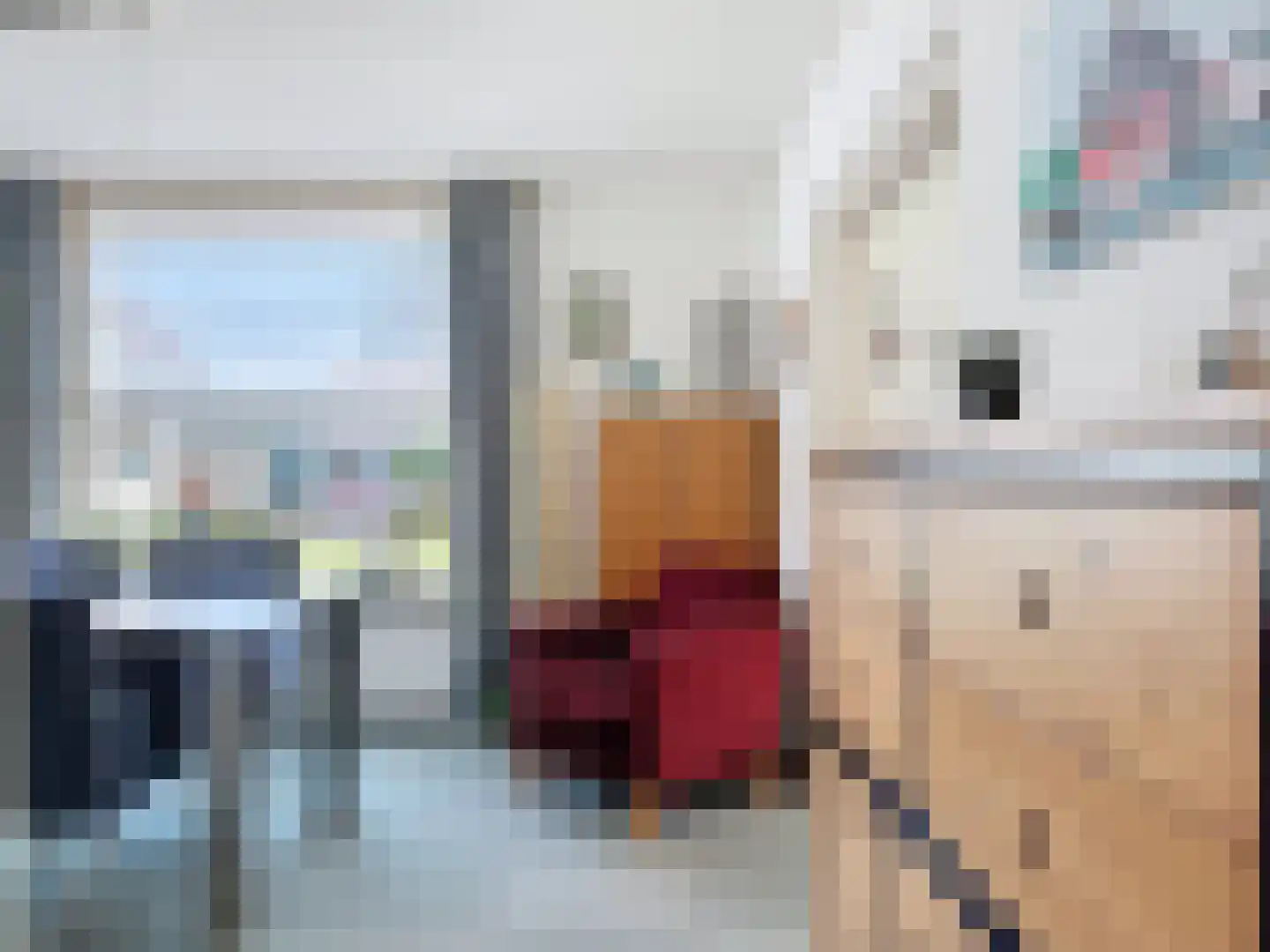 Noordstraat 34 Retranchement thumbnail 9