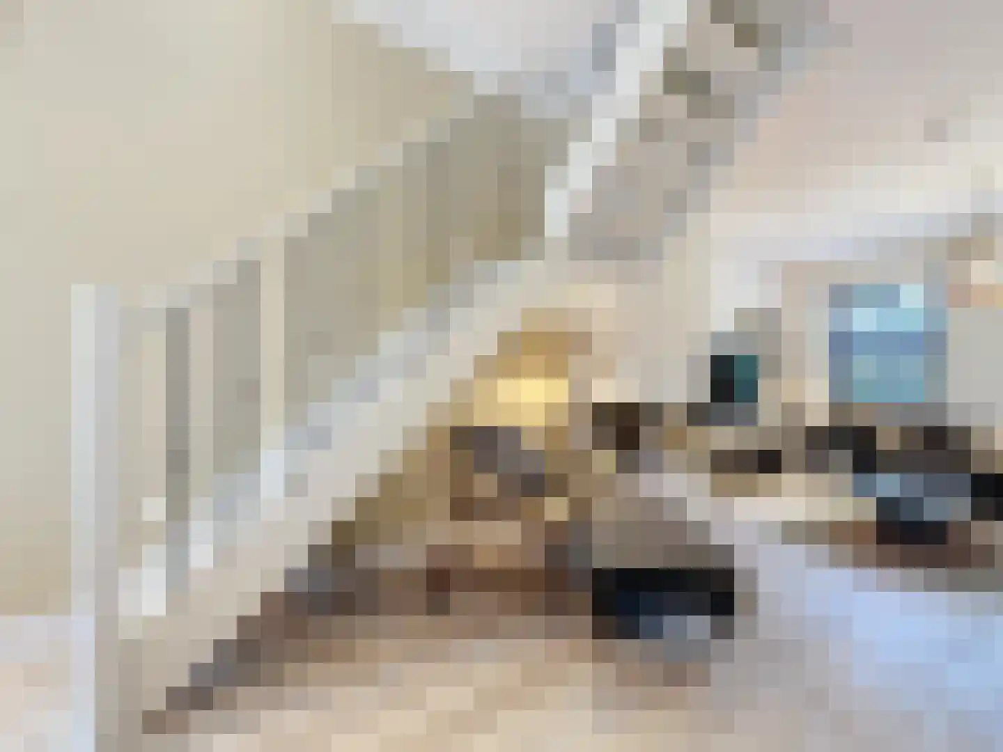Noordstraat 4 A Retranchement thumbnail 11