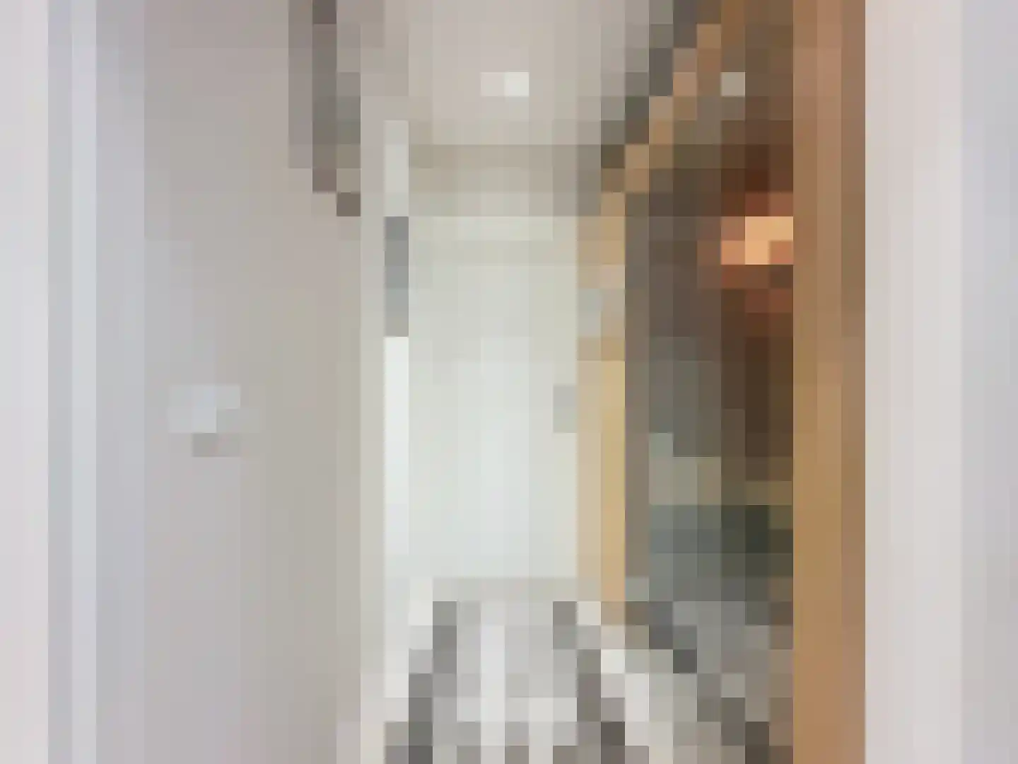 Noordstraat 4 A Retranchement thumbnail 12