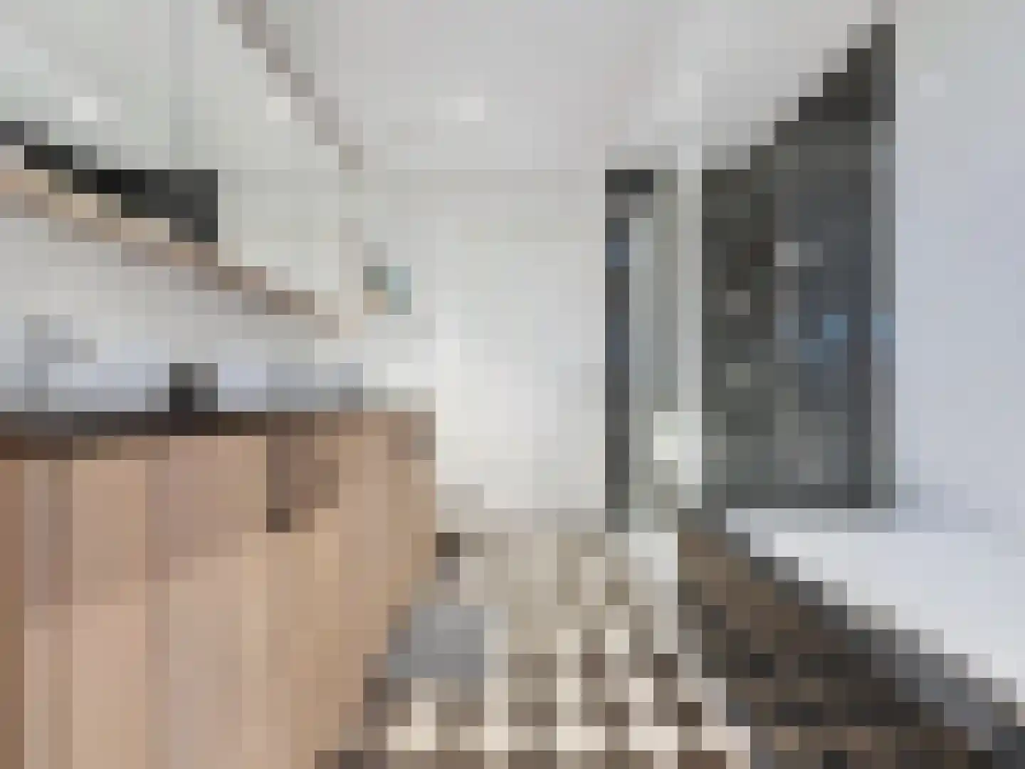 Noordstraat 4 A Retranchement thumbnail 16