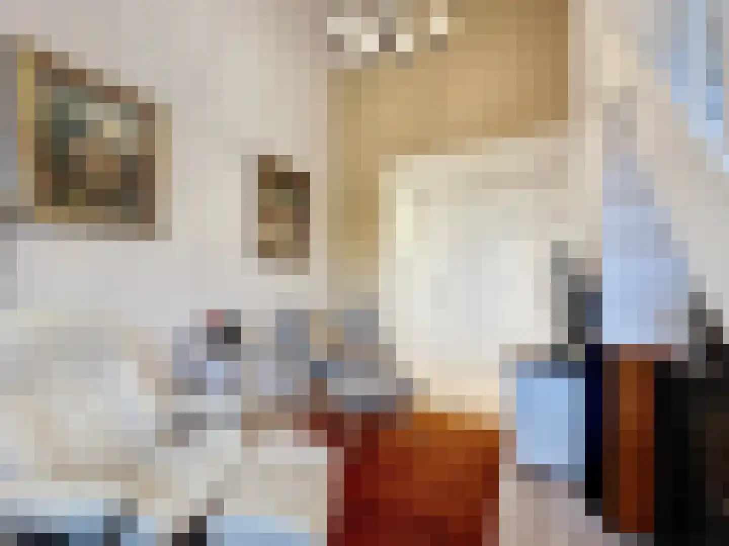 Noordstraat 4 A Retranchement thumbnail 18