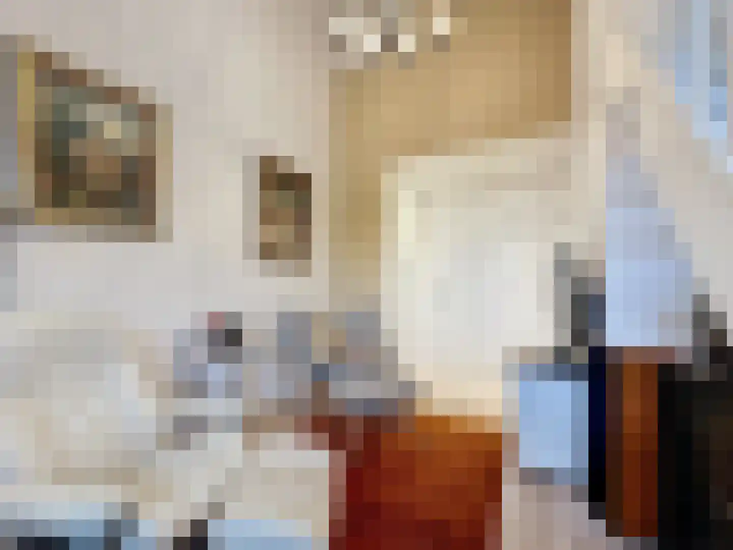 Noordstraat 4 A Retranchement thumbnail 18