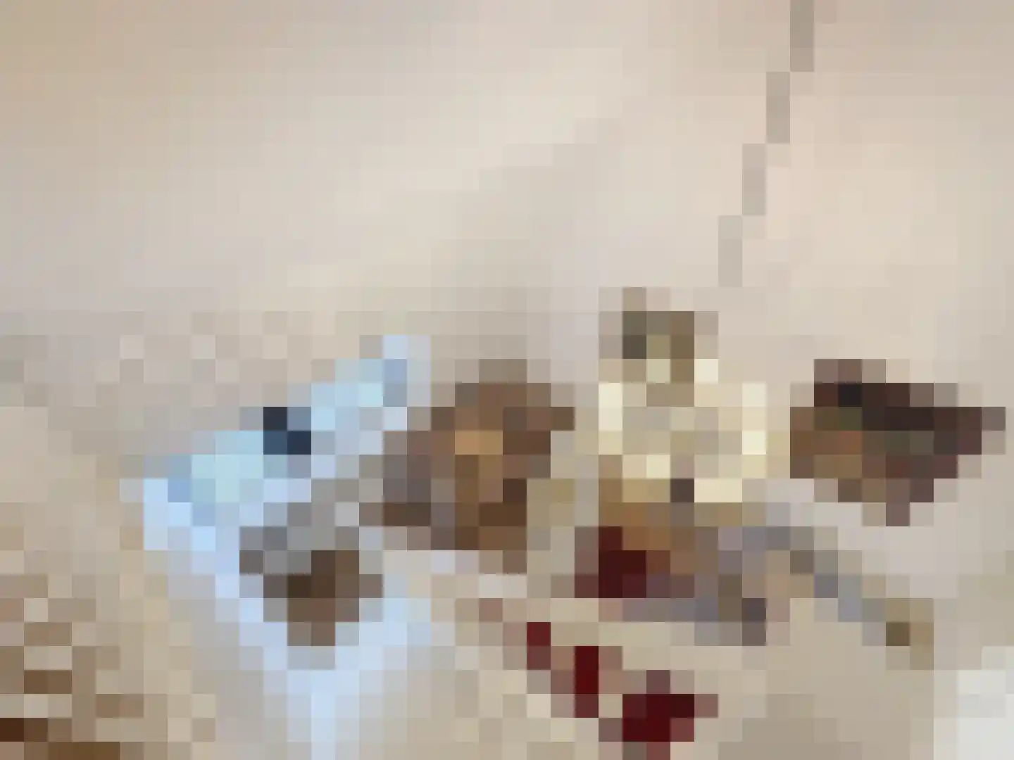 Noordstraat 4 A Retranchement thumbnail 19