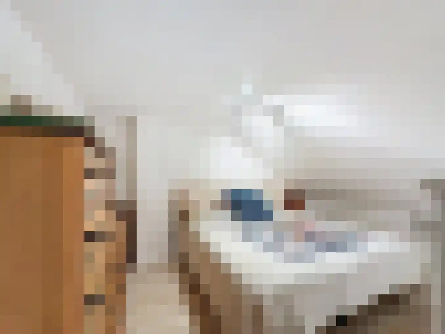 Noordstraat 4 A Retranchement thumbnail 20