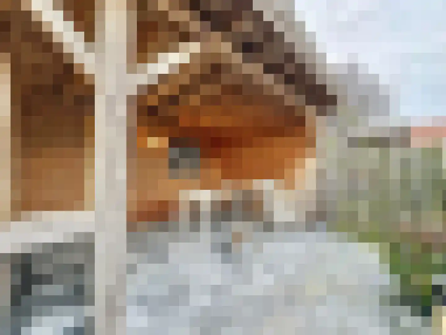 Noordstraat 4 A Retranchement thumbnail 24