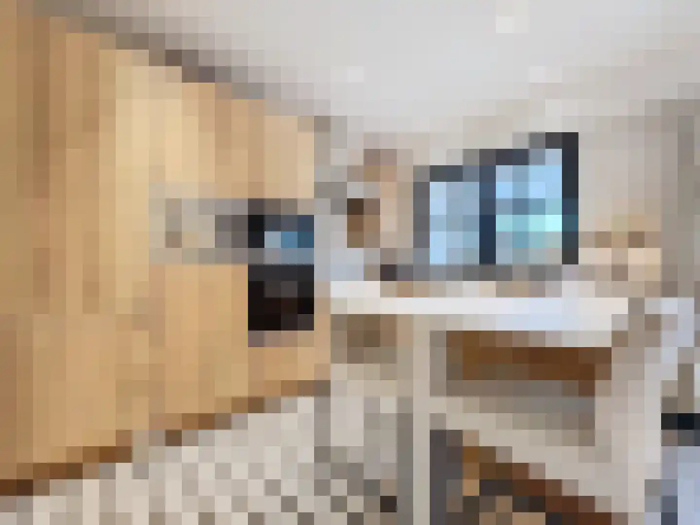 Noordstraat 4 A Retranchement thumbnail 8