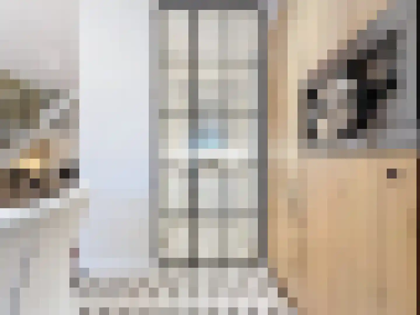 Noordstraat 4 A Retranchement thumbnail 9