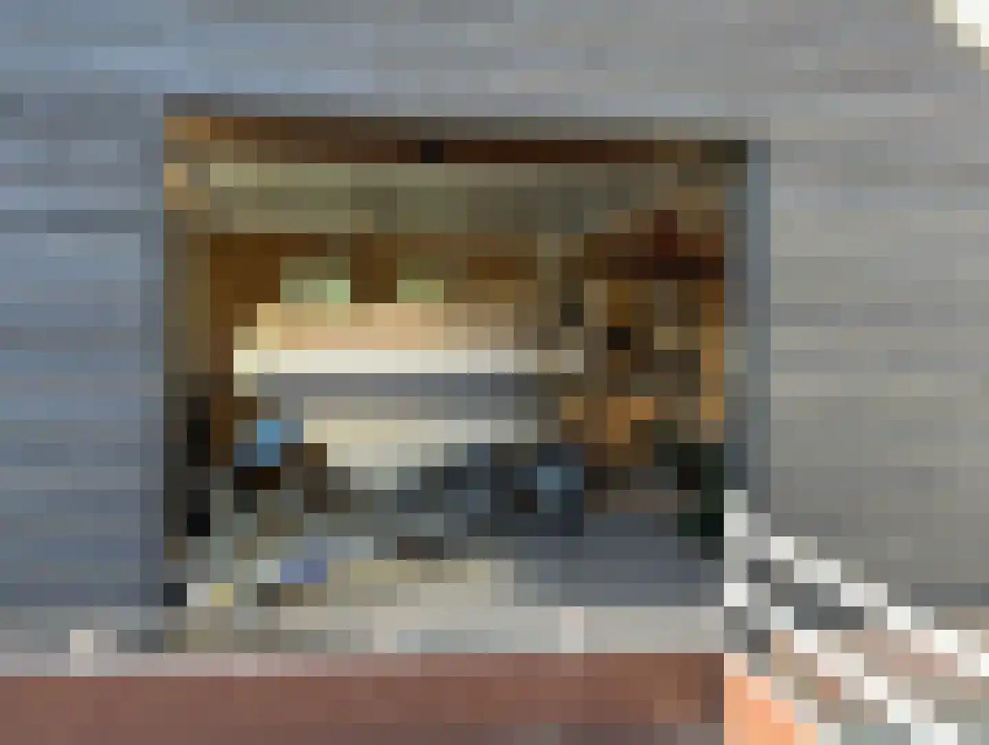 Noordstraat 4 G01 Dreischor thumbnail 4