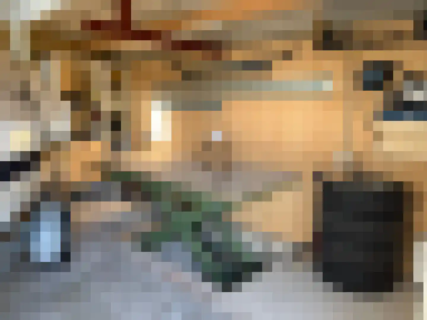 Noordstraat 4 G01 Dreischor thumbnail 5