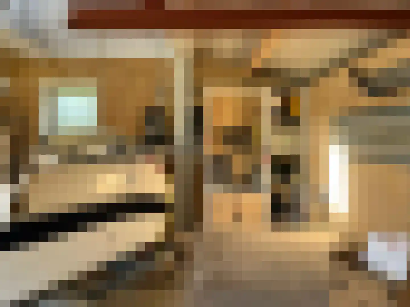 Noordstraat 4 G01 Dreischor thumbnail 6