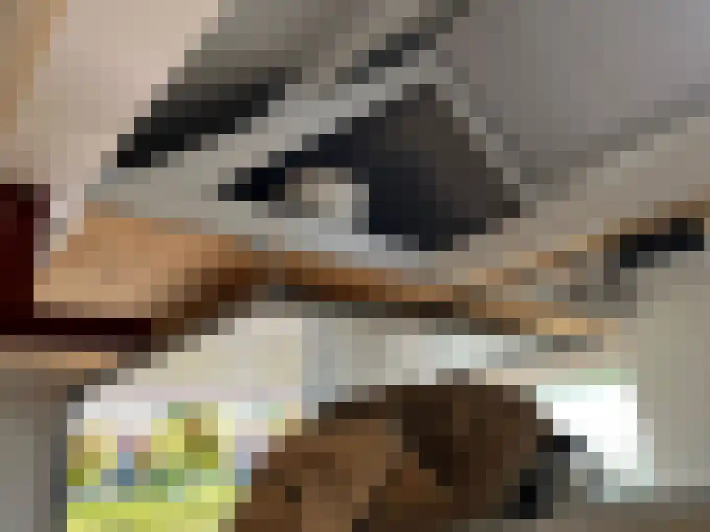 Noordstraat 4 G01 Dreischor thumbnail 8