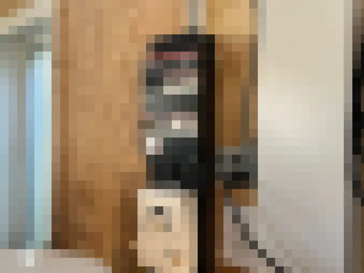 Noordstraat 4 G01 Dreischor thumbnail 9