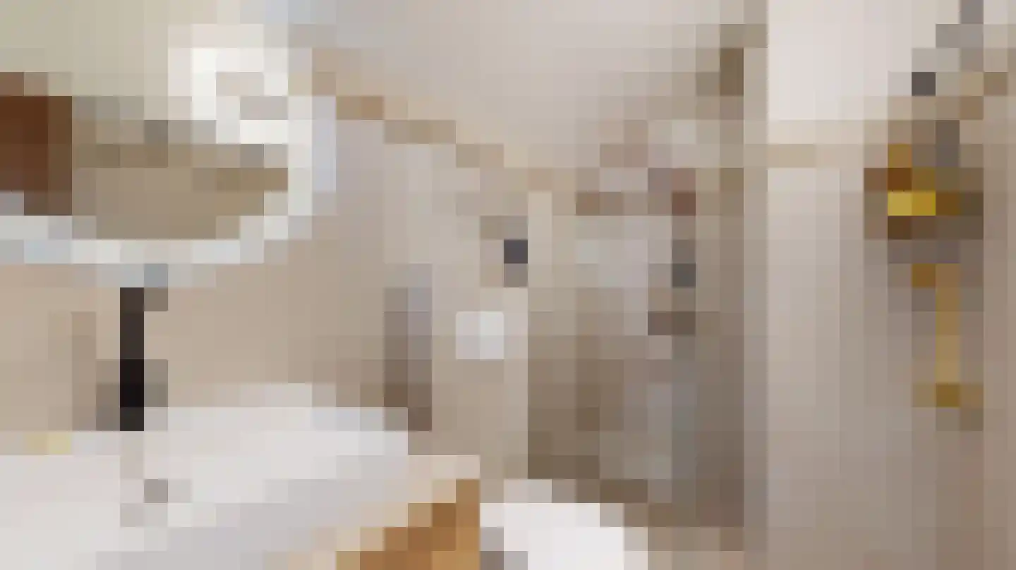 Noordstraat 4 Landgraaf thumbnail 23