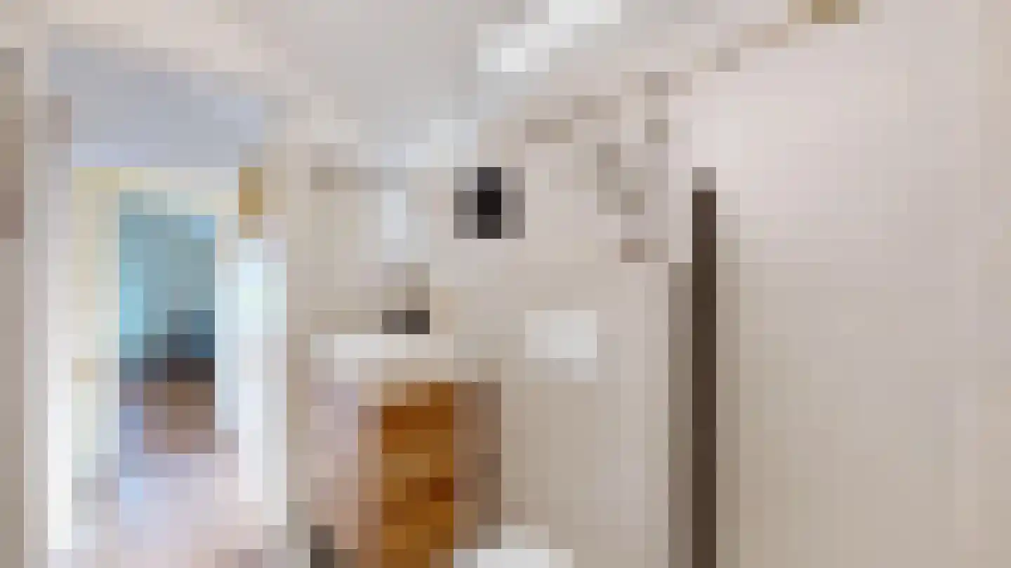 Noordstraat 4 Landgraaf thumbnail 24