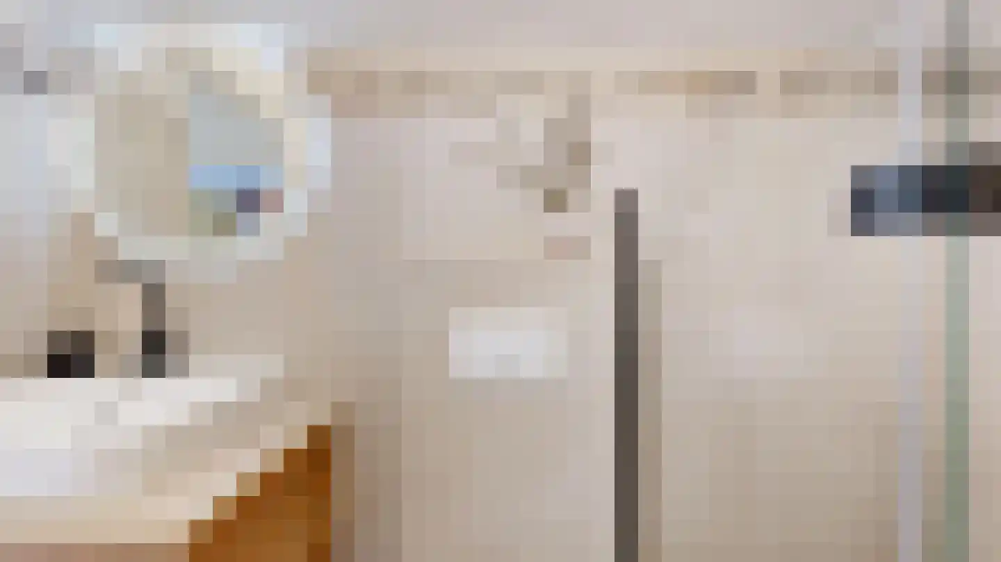 Noordstraat 4 Landgraaf thumbnail 5