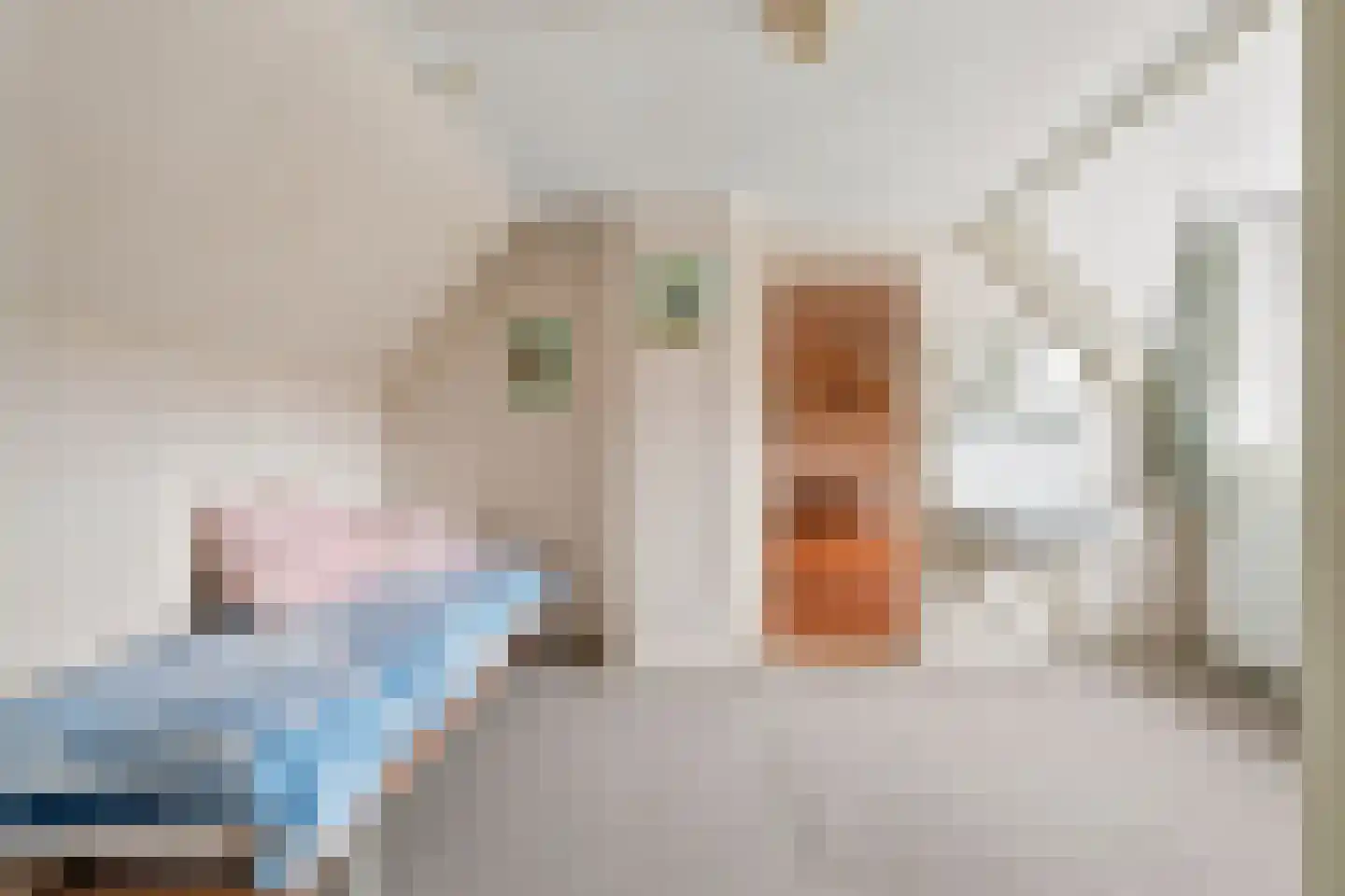 Noordstraat 4 Westkapelle thumbnail 31