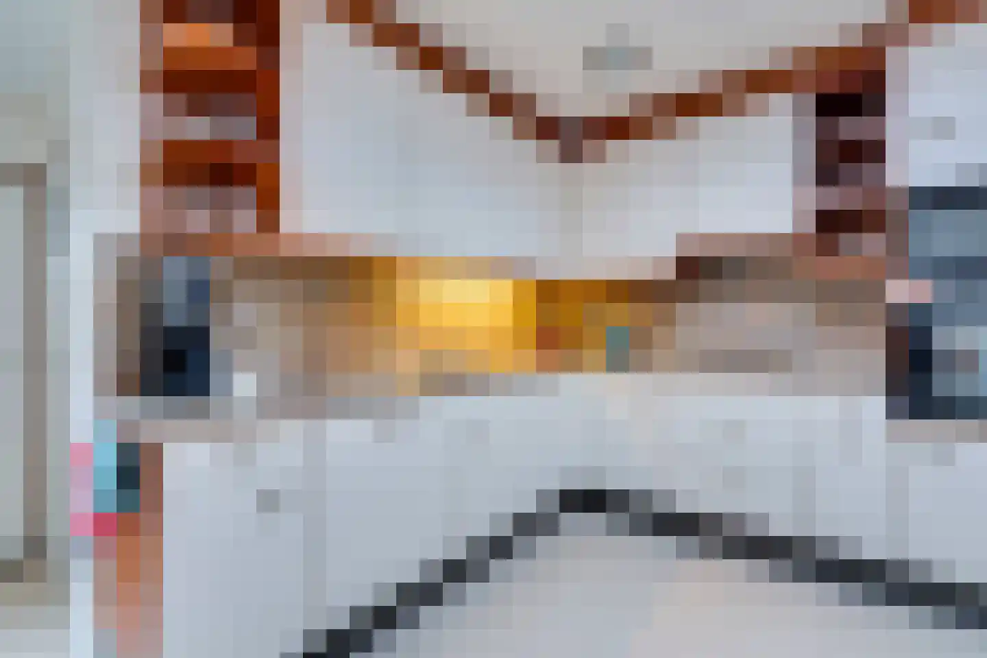 Noordstraat 40 Kamperland thumbnail 42