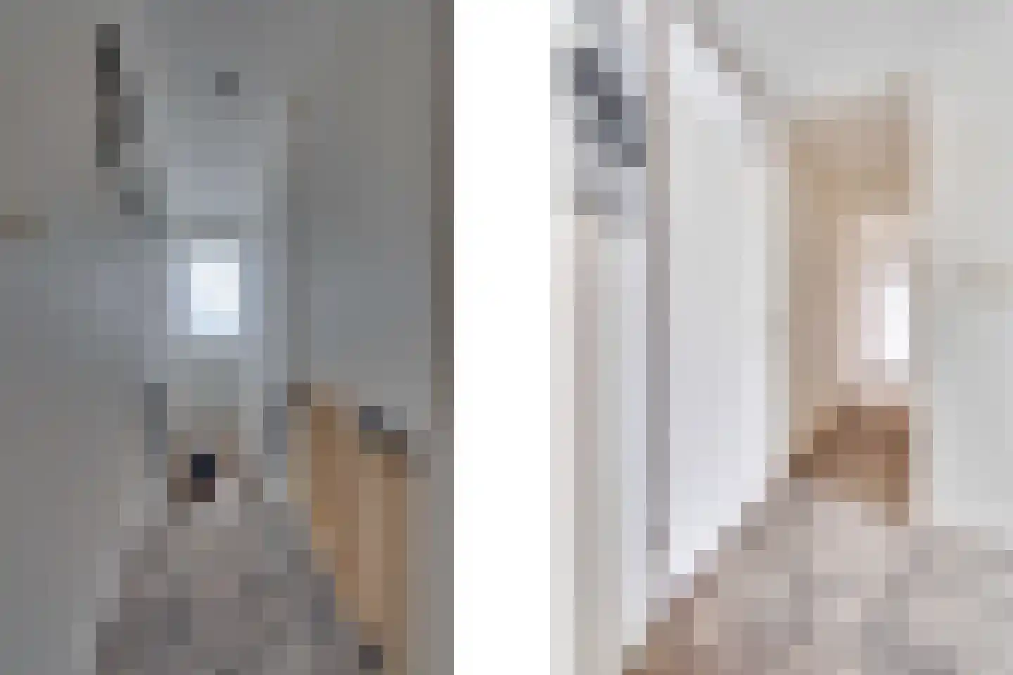 Noordstraat 40 Kamperland thumbnail 67