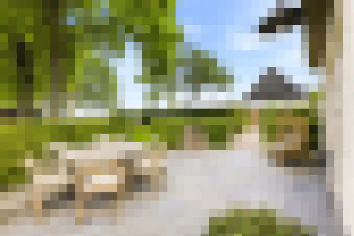 Noordstraat 44 Hoek thumbnail 10