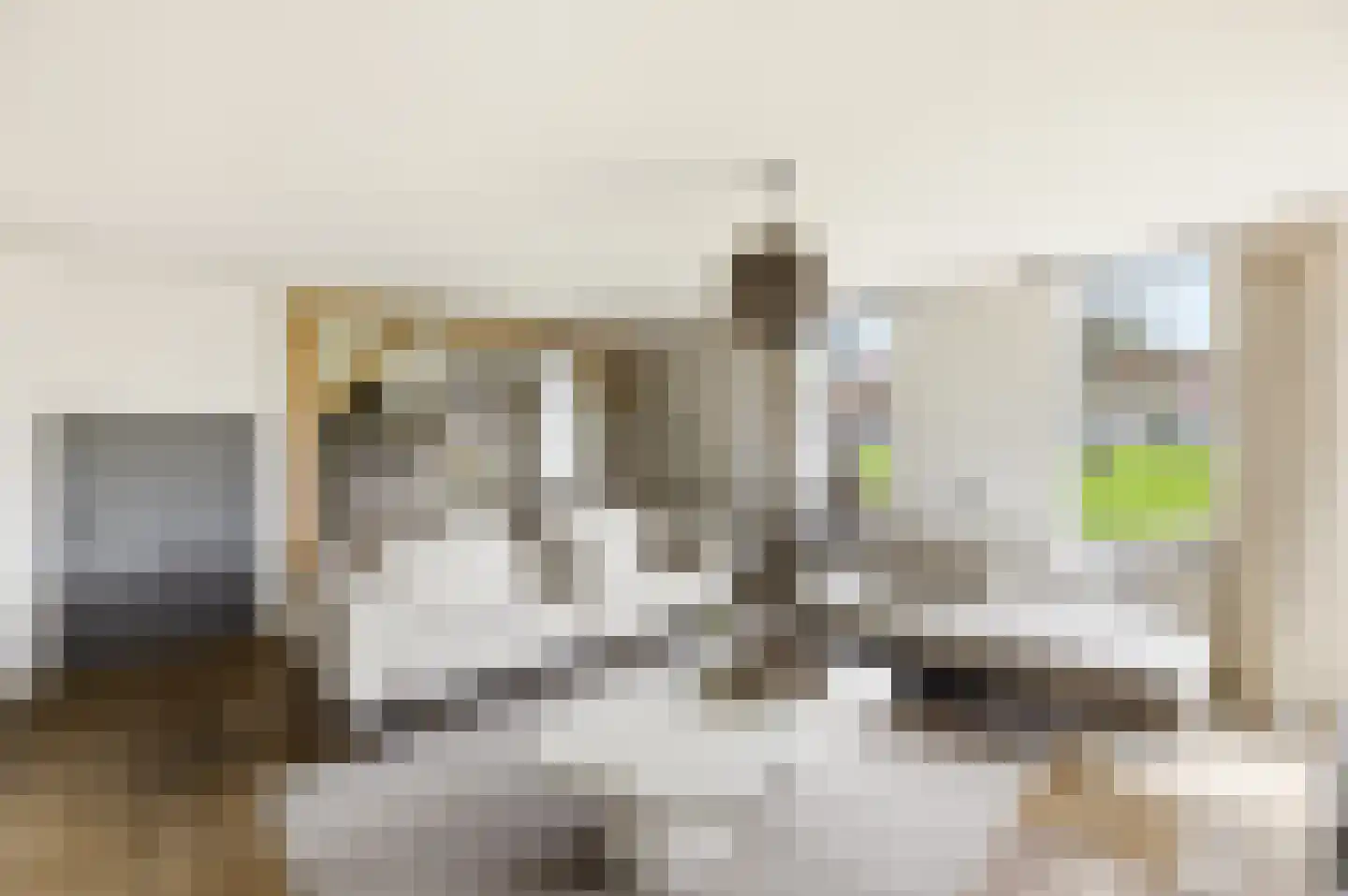 Noordstraat 44 Hoek thumbnail 18