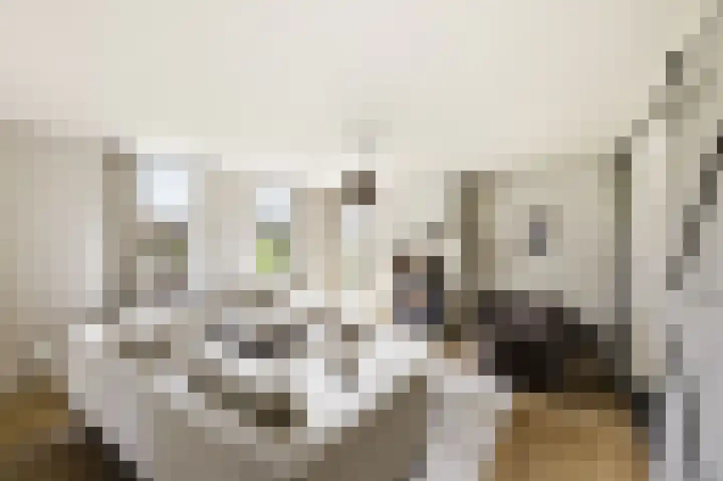Noordstraat 44 Hoek thumbnail 20