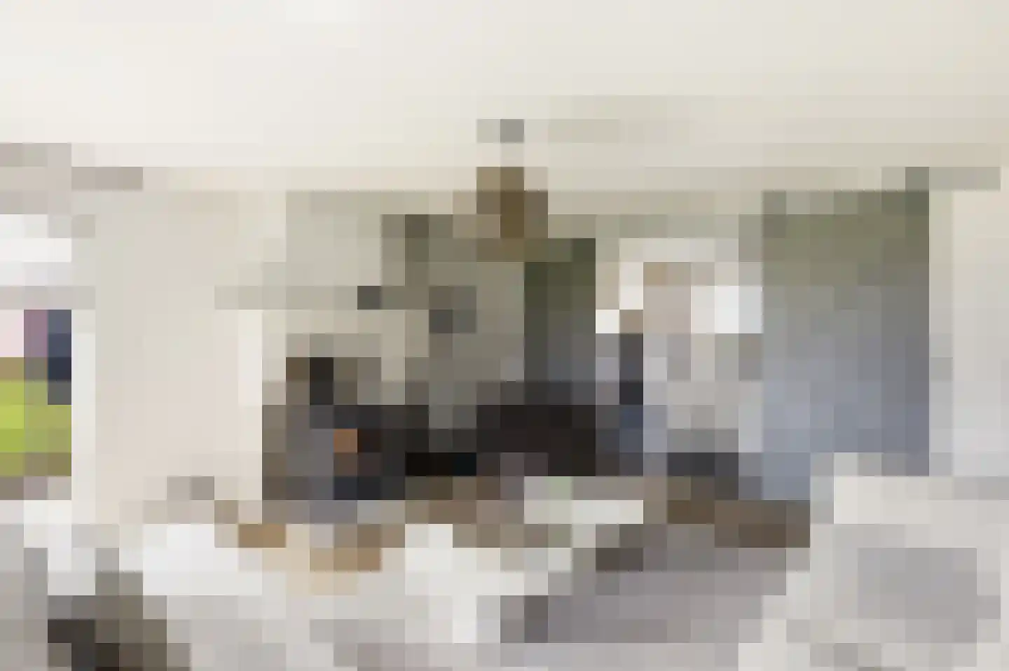 Noordstraat 44 Hoek thumbnail 22