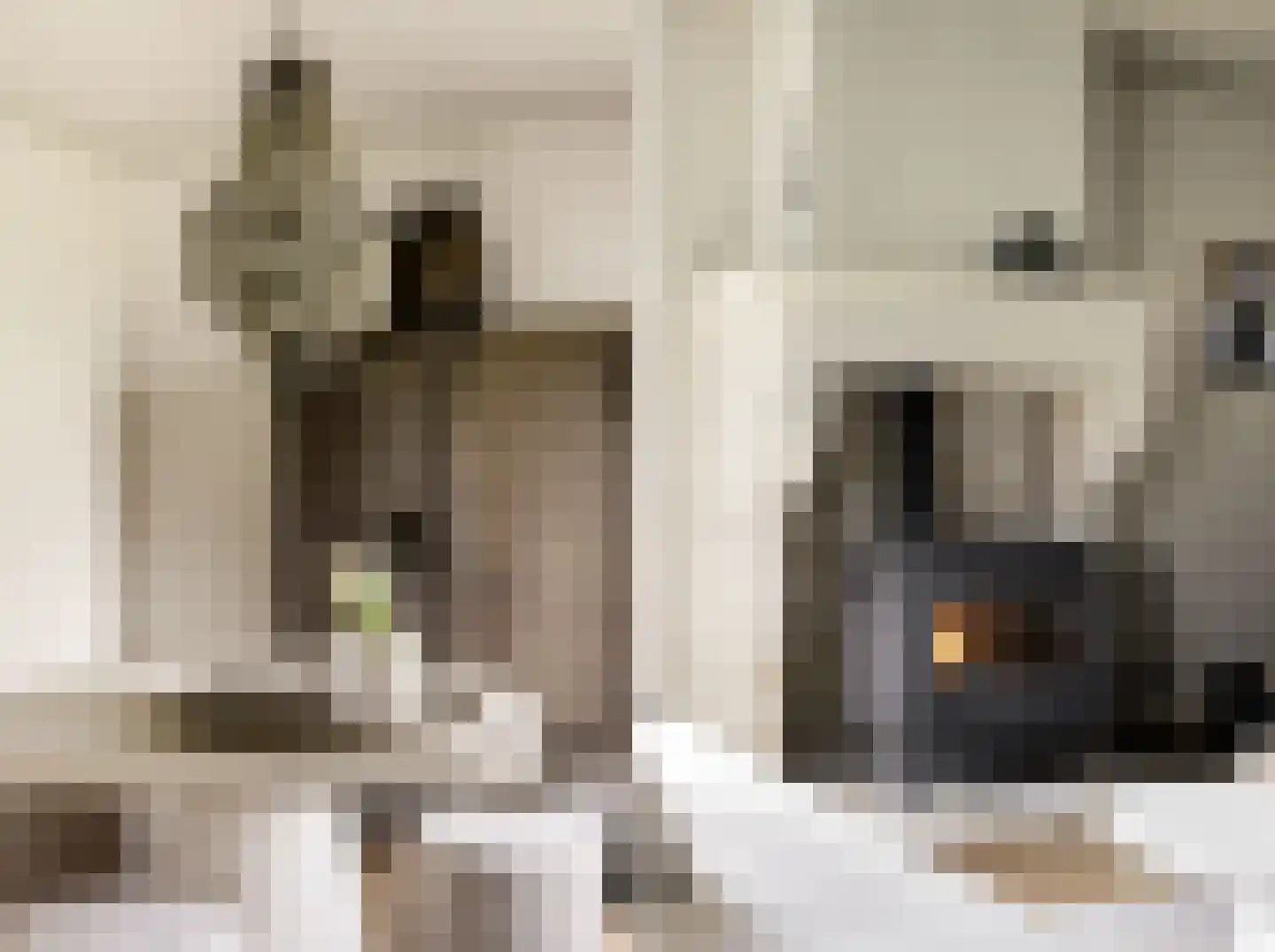 Noordstraat 44 Hoek thumbnail 23