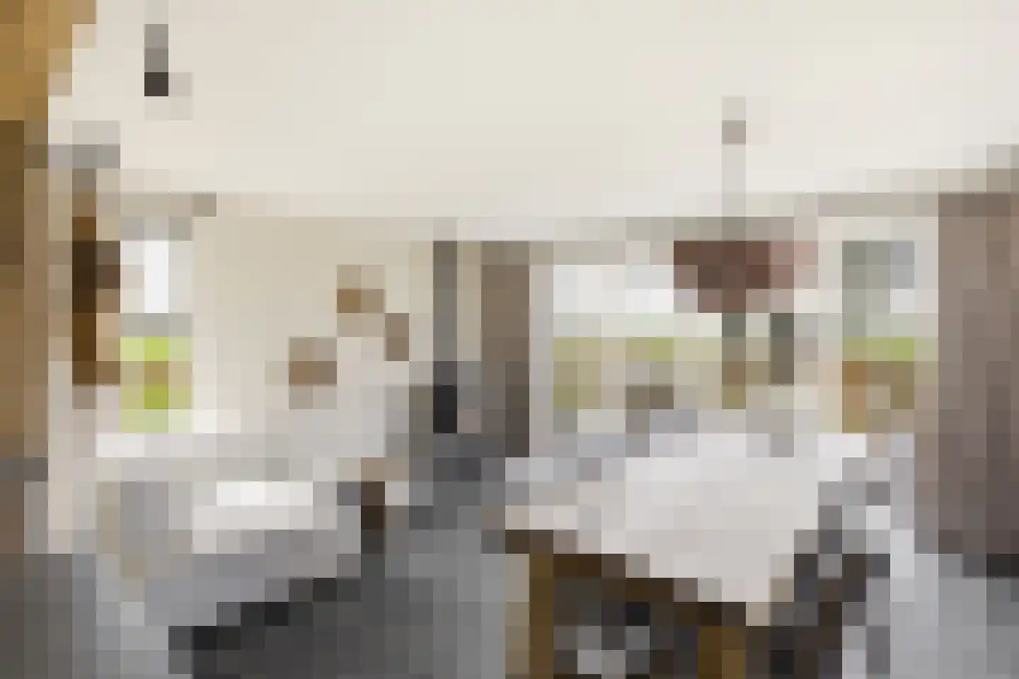 Noordstraat 44 Hoek thumbnail 26