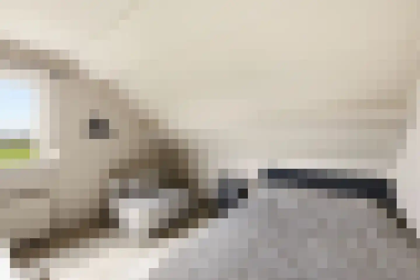 Noordstraat 44 Hoek thumbnail 38