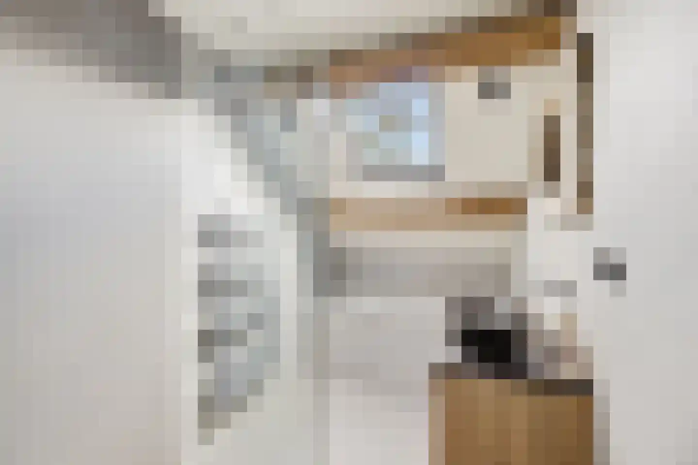 Noordstraat 44 Hoek thumbnail 39