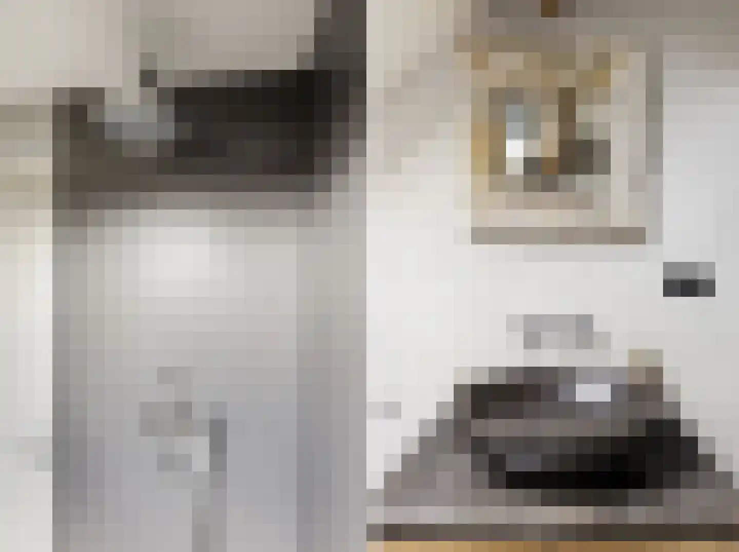 Noordstraat 44 Hoek thumbnail 41