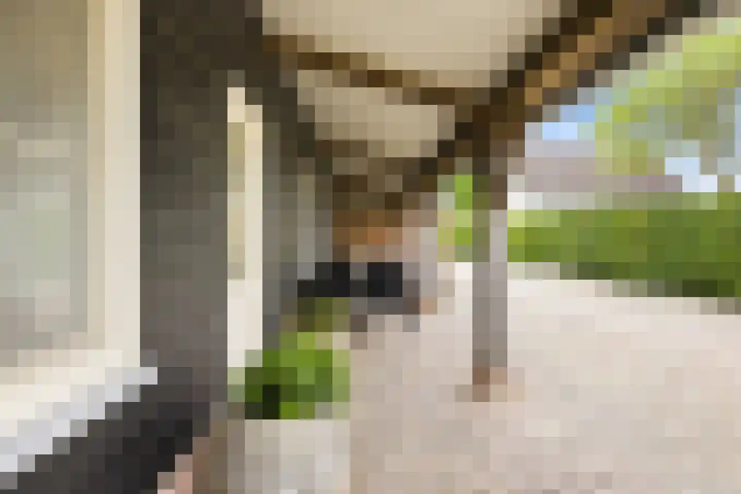 Noordstraat 44 Hoek thumbnail 45