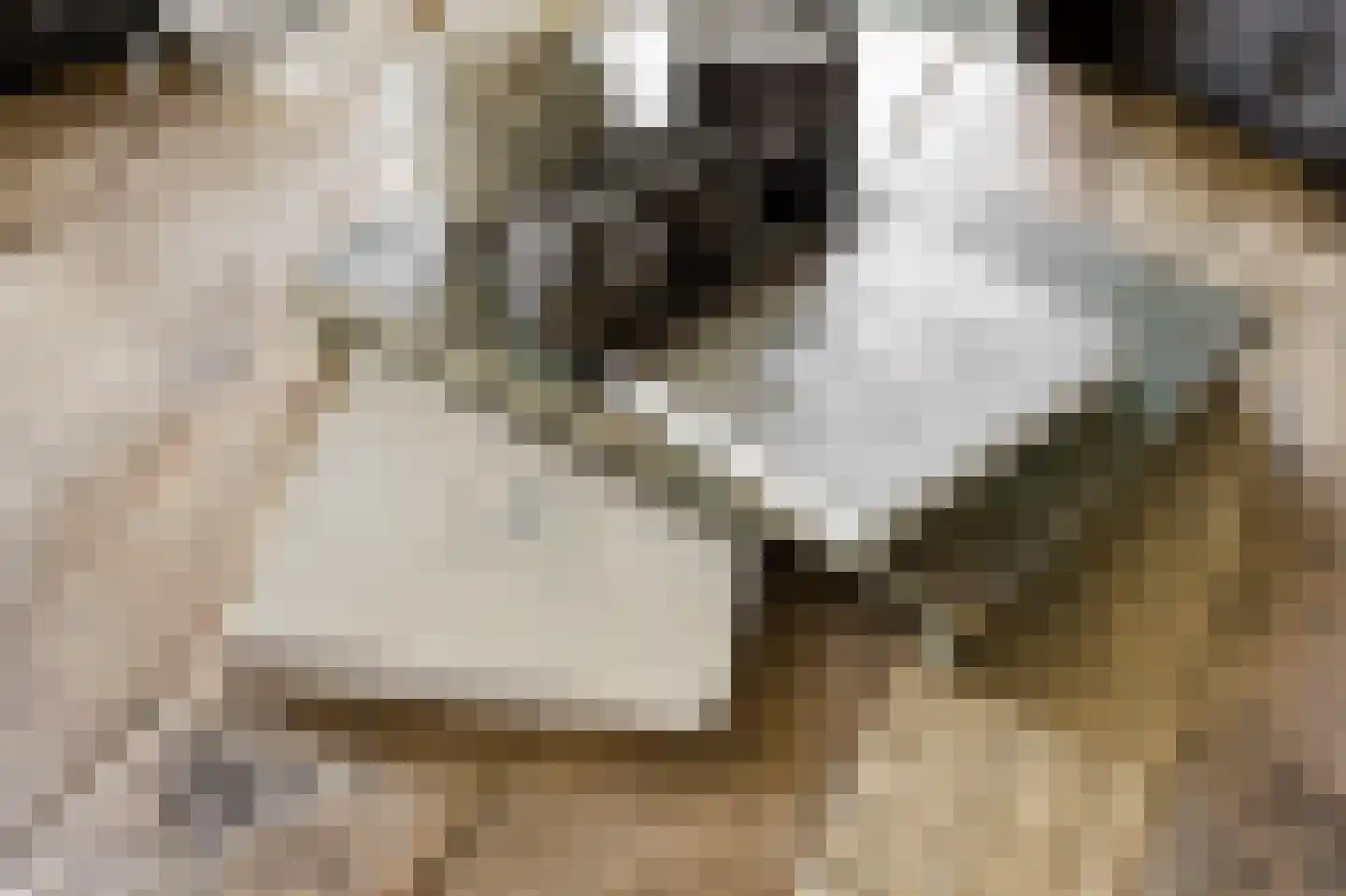 Noordstraat 44 Hoek thumbnail 46