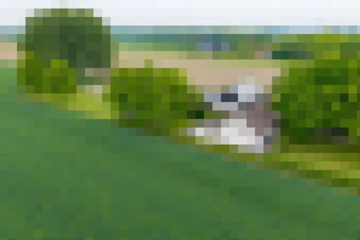 Noordstraat 44 Hoek thumbnail 5