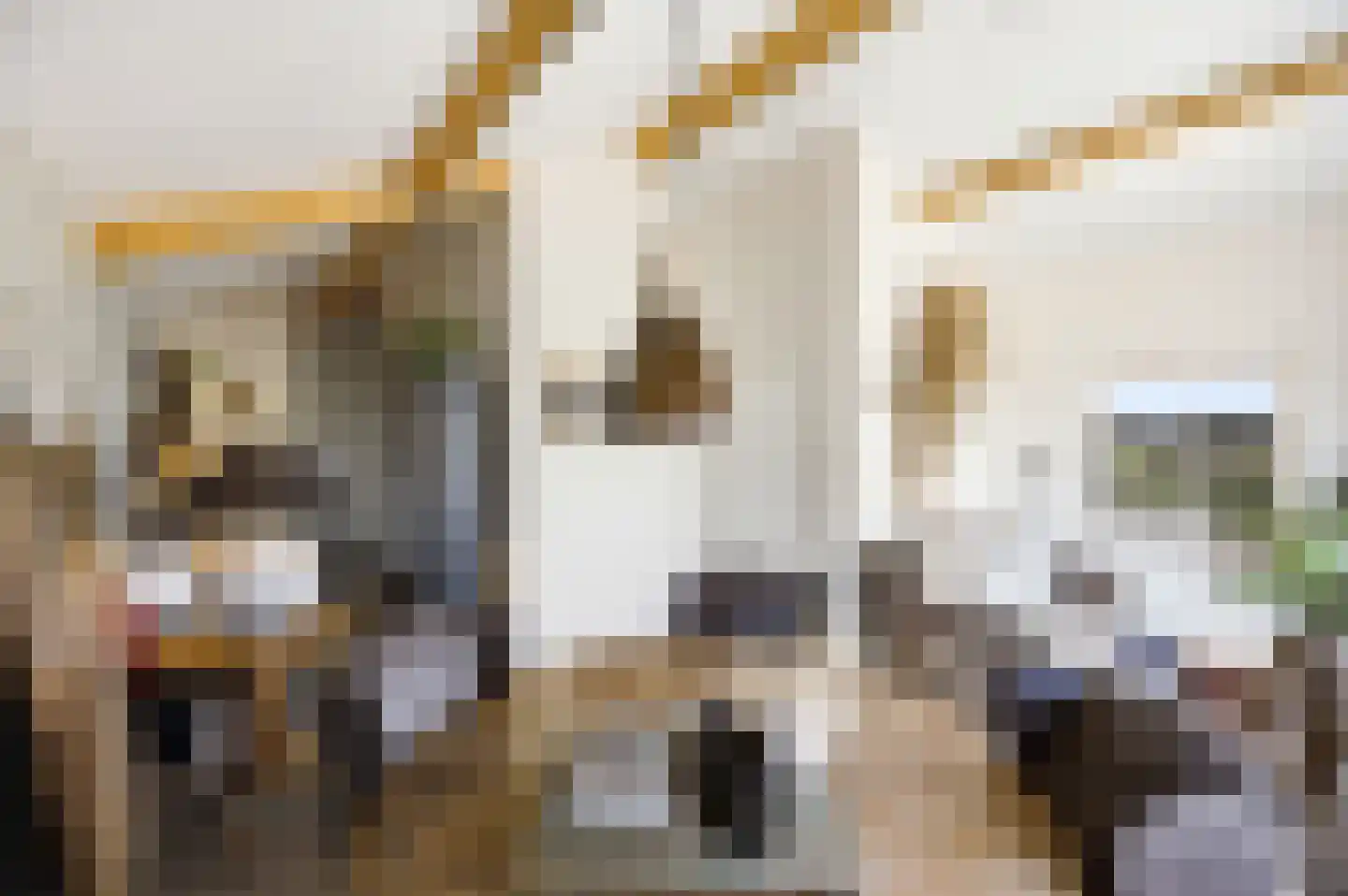 Noordstraat 44 Hoek thumbnail 50