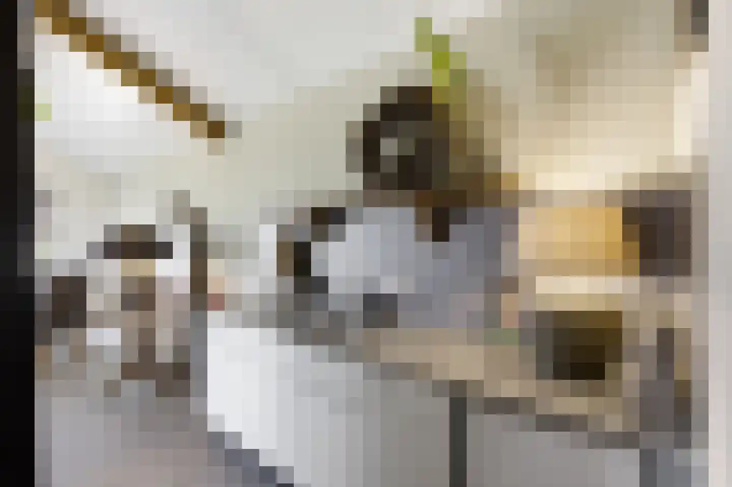 Noordstraat 44 Hoek thumbnail 51