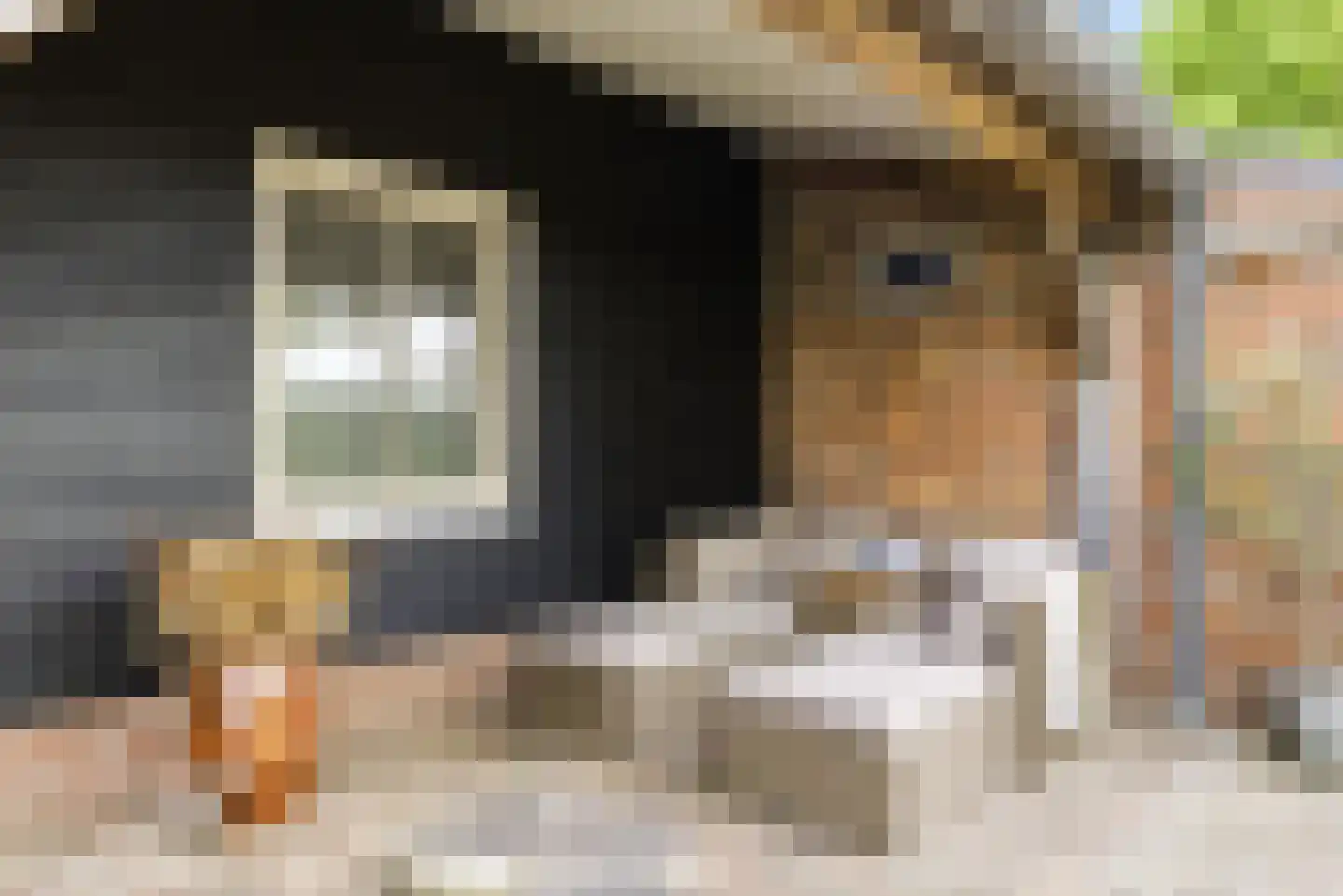 Noordstraat 44 Hoek thumbnail 55