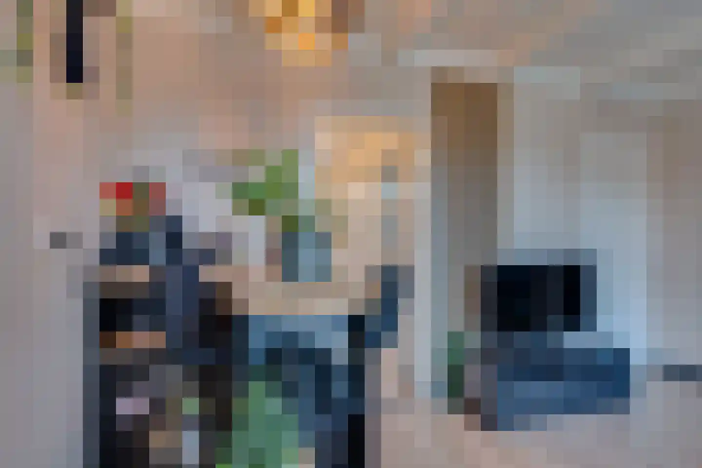 Noordstraat 5 Kamperland thumbnail 10