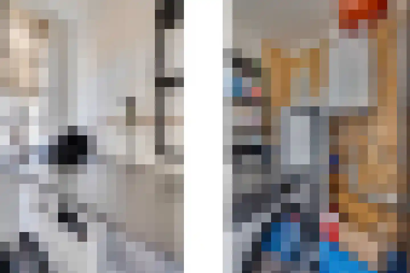 Noordstraat 5 Kamperland thumbnail 30