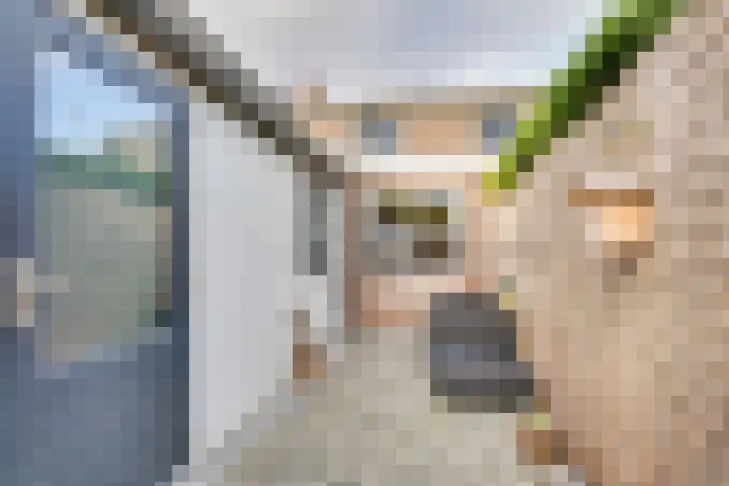 Noordstraat 5 Kamperland thumbnail 34