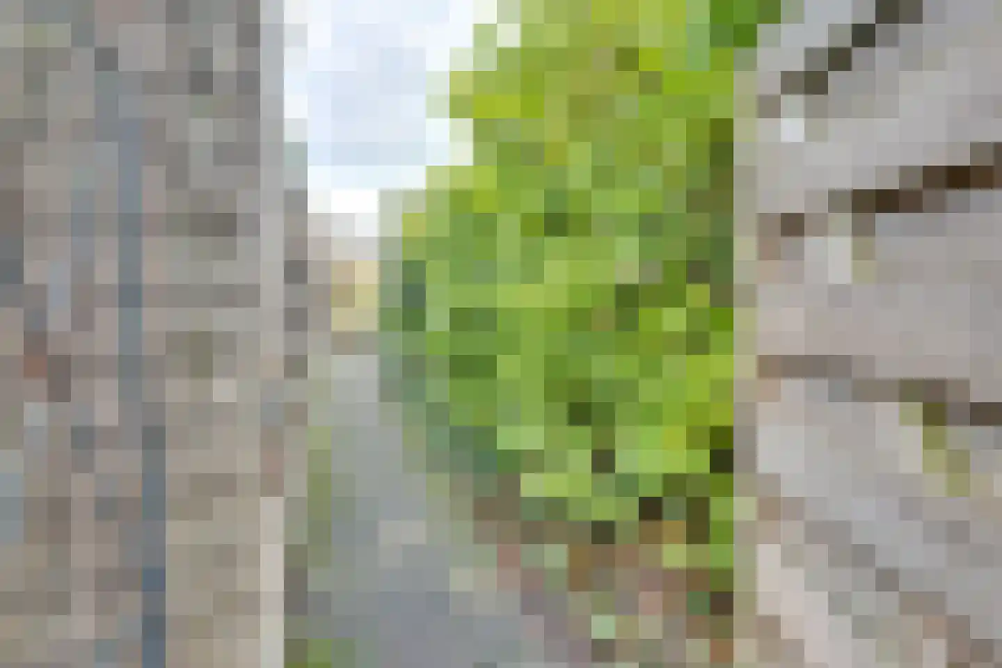 Noordstraat 5 Kamperland thumbnail 37