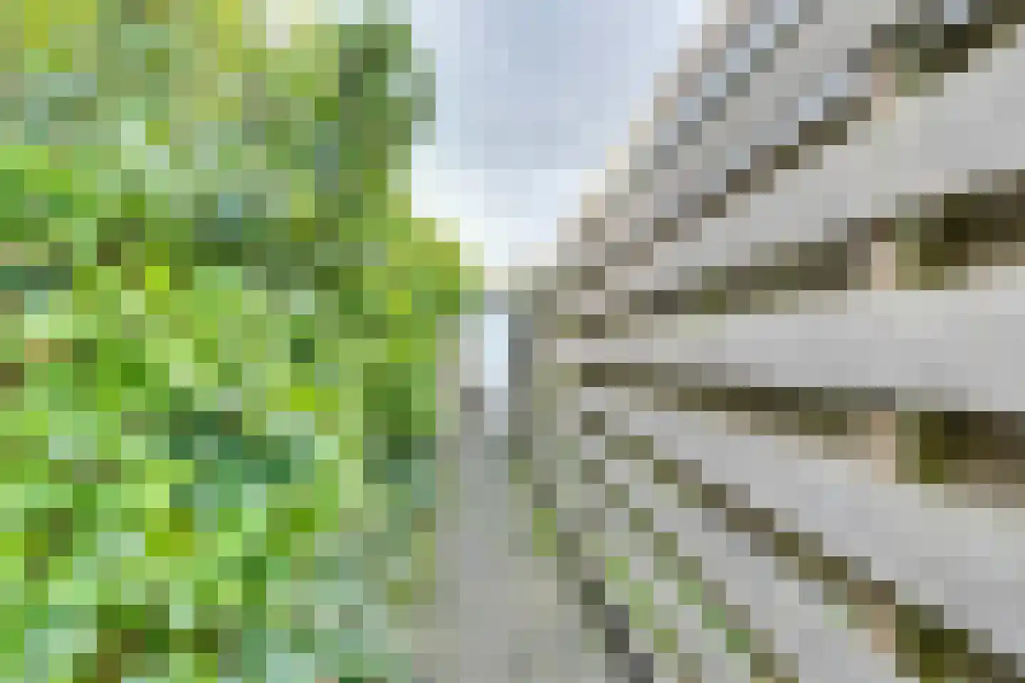 Noordstraat 5 Kamperland thumbnail 38
